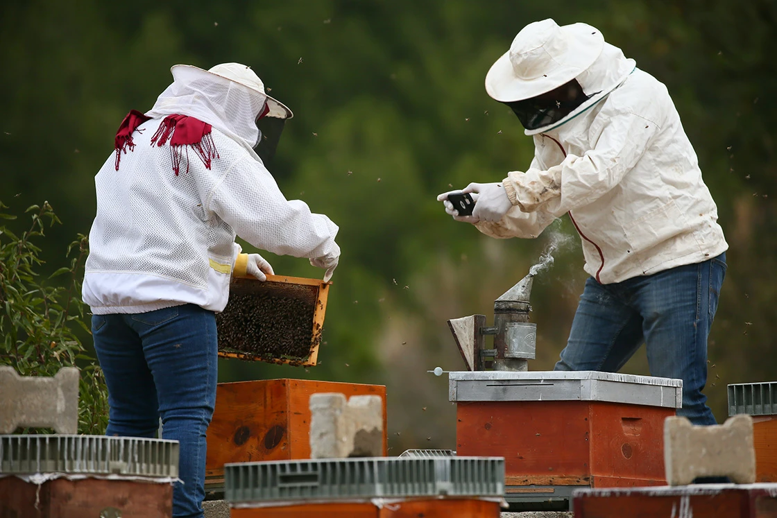 Çocuğu için memuriyeti bırakıp arıcılığa başladı, şimdi genç kızlara istihdam sağlıyor